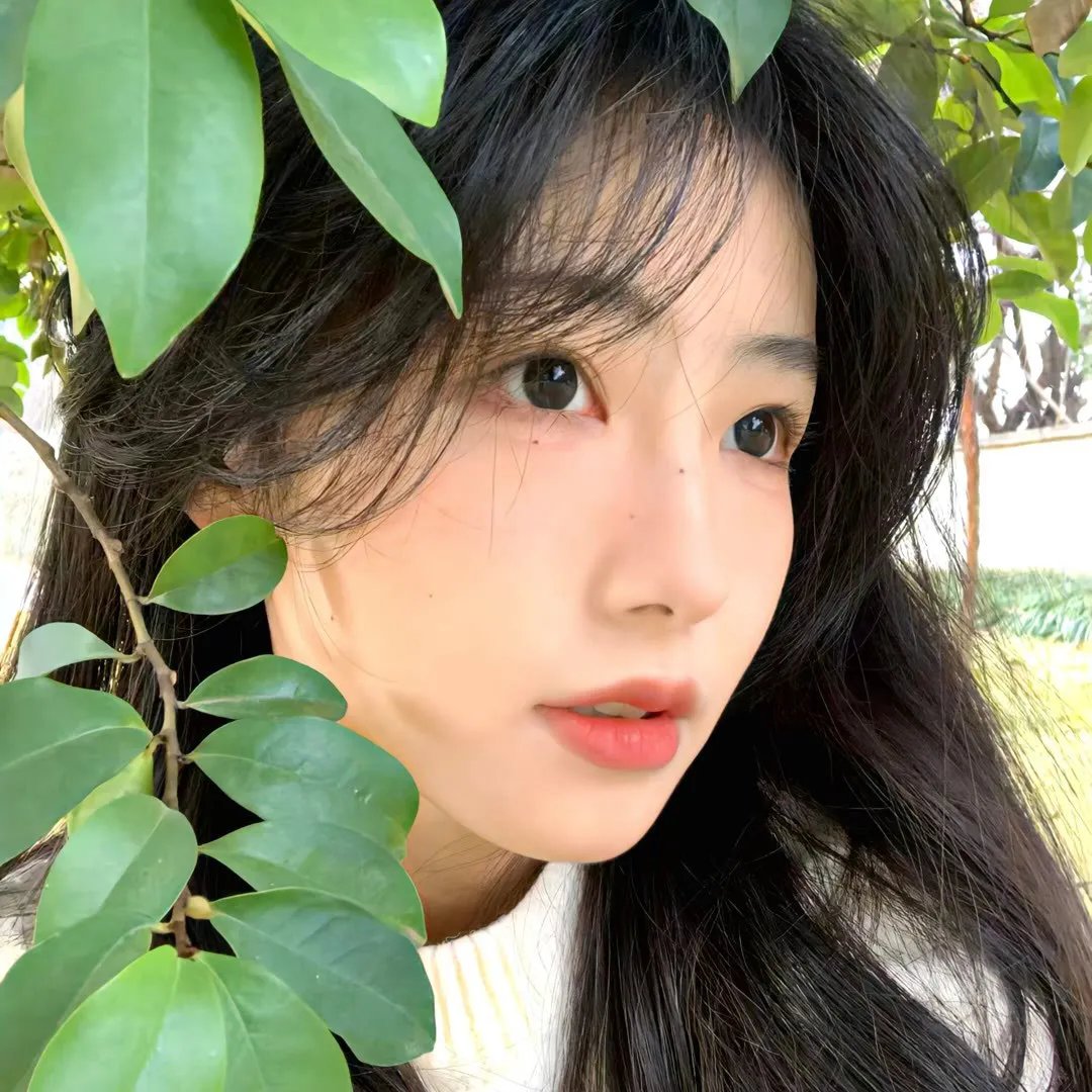 珍 封面