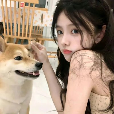 青春梦里人 封面